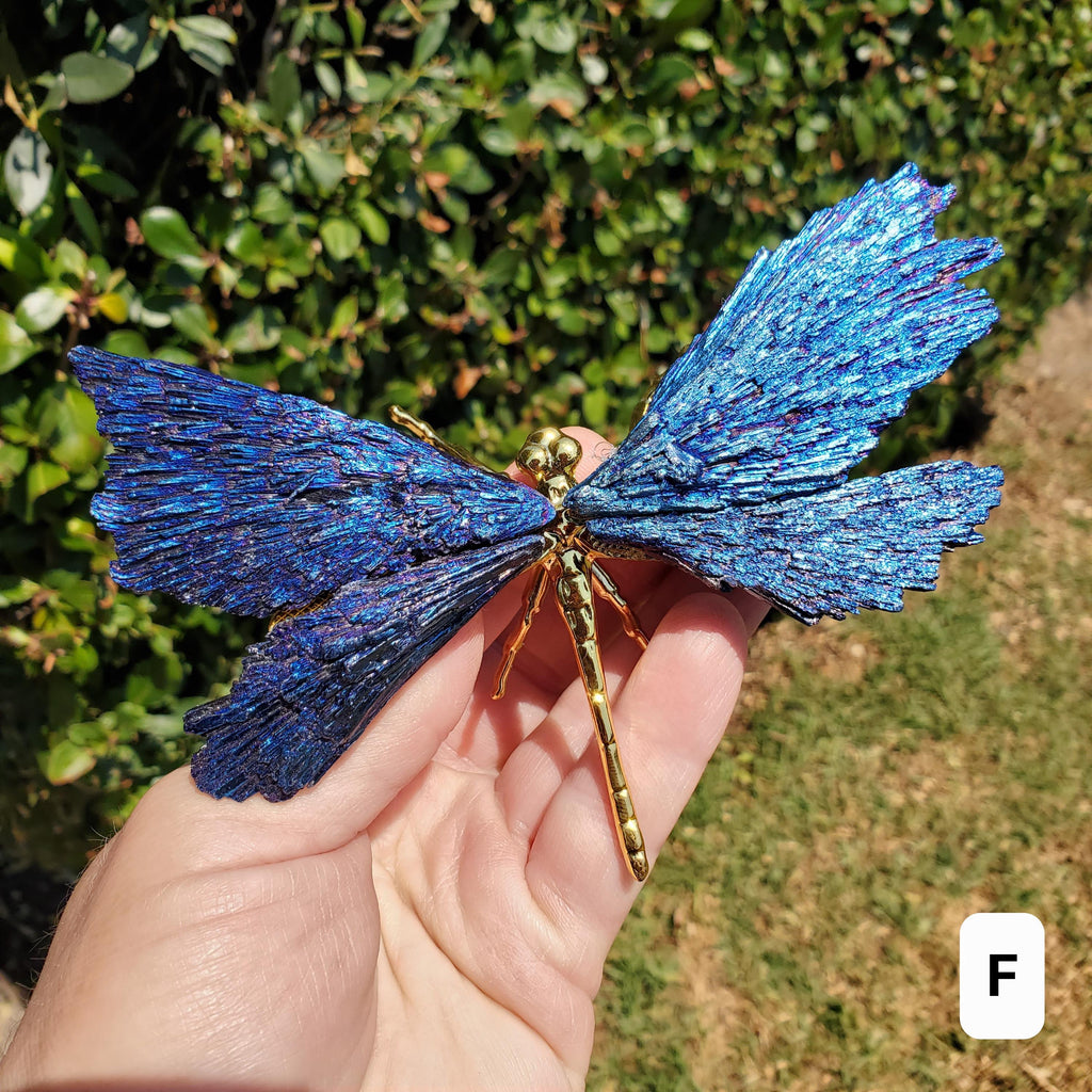 Aura Kyanite Dragonfly on Metal Body - Calming, Clarity, Connection, Communication, Balances Chakras - Kyanite Crystal Dragonfly Statement