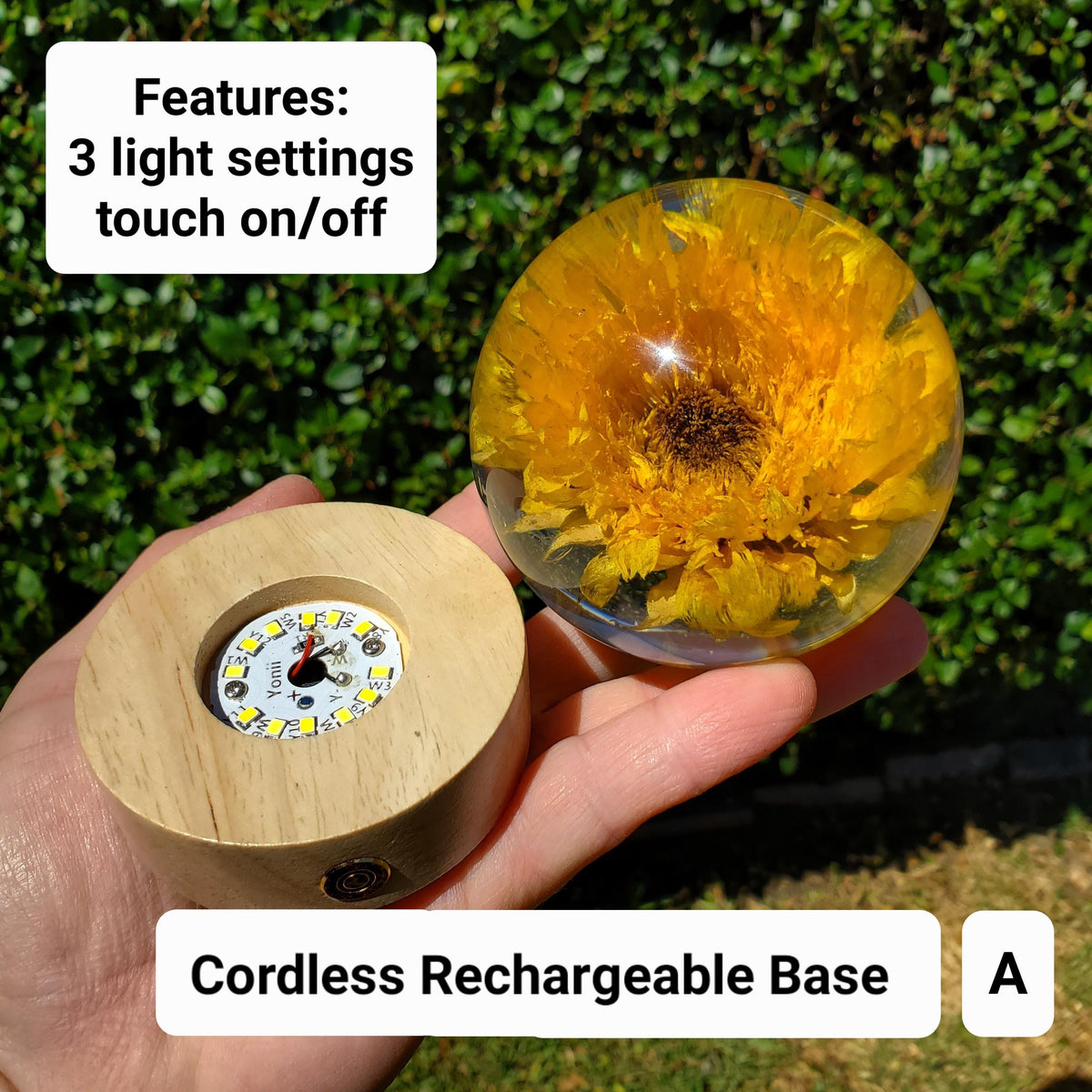 Sunflower Accent Light with Wooden Stand | Handmade Resin Craft with Real Sunflower Inside - Home Décor Night Light, Accent Lamp, Mood Light