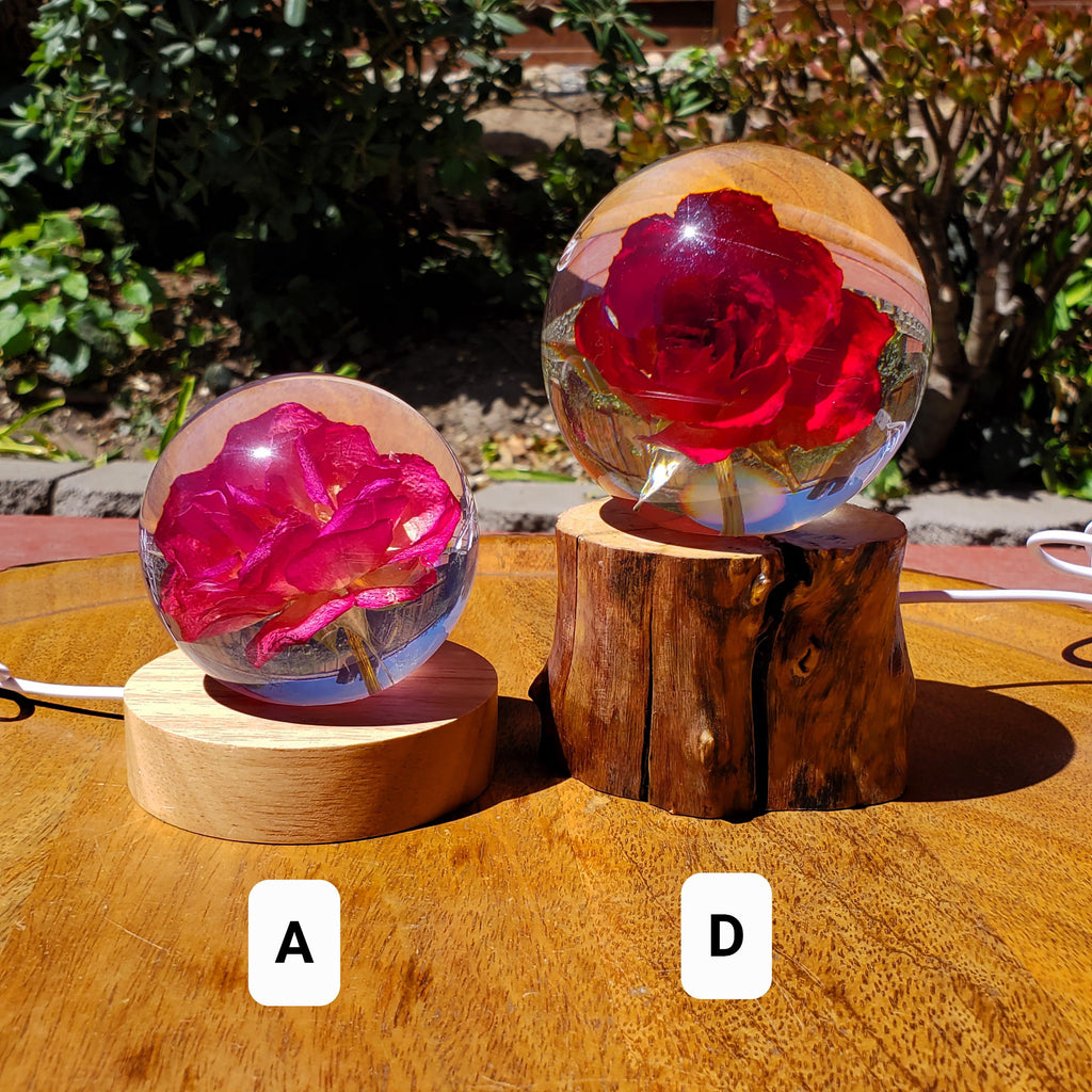 Rose Accent Light with Wooden Stand | Handmade Resin Craft with Real Rose Inside - Home Décor Night Light Beautiful Flower Gift Mood Lamp