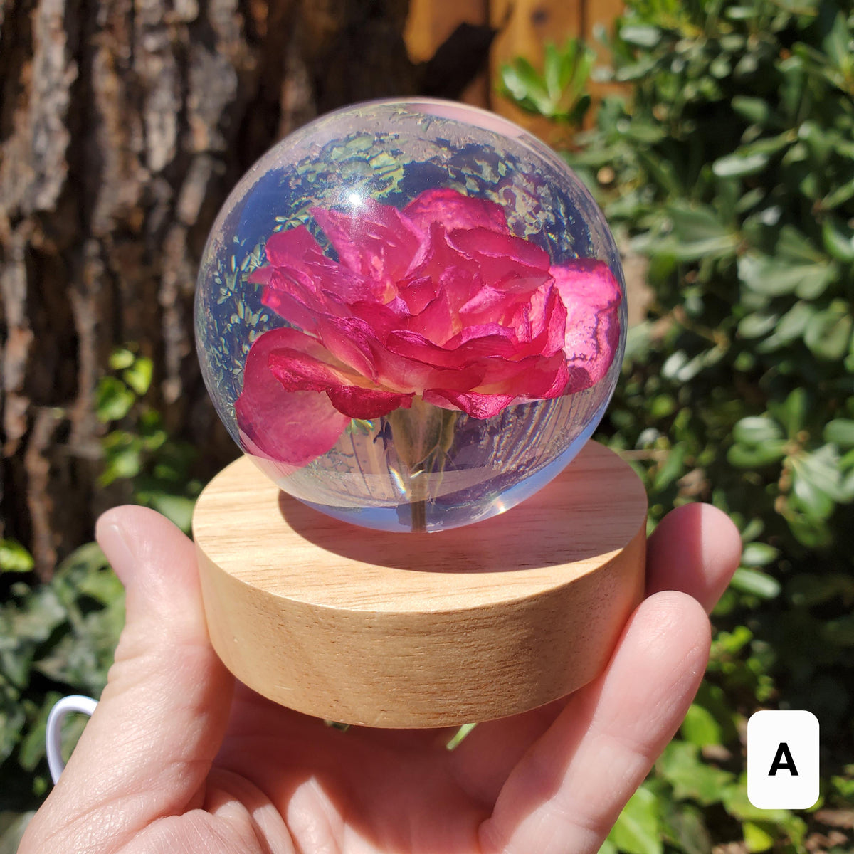 Rose Accent Light with Wooden Stand | Handmade Resin Craft with Real Rose Inside - Home Décor Night Light Beautiful Flower Gift Mood Lamp
