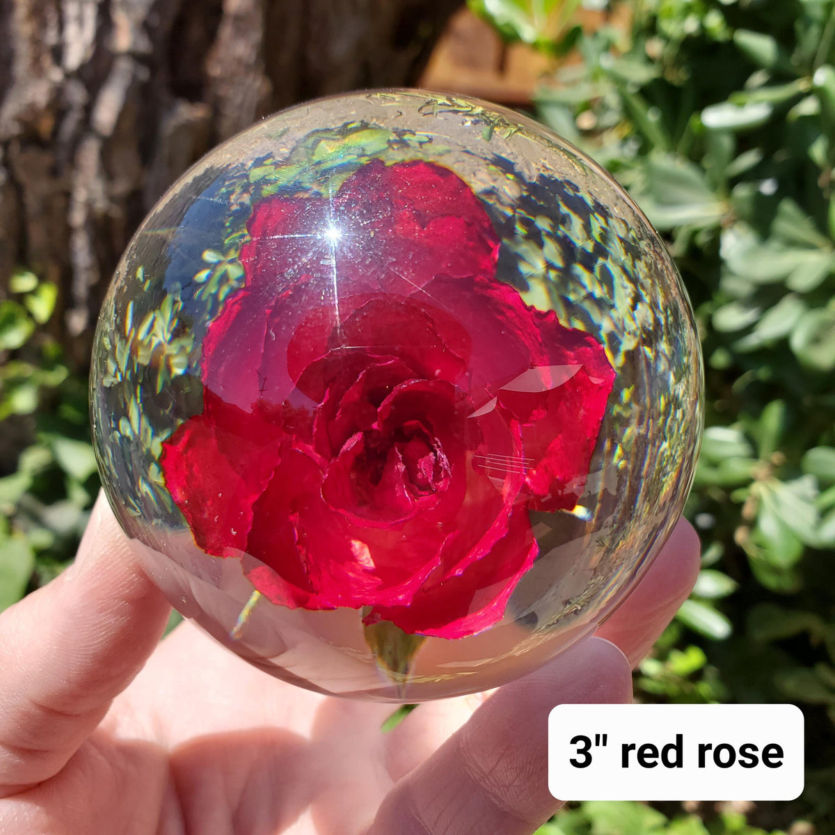 Rose Accent Light with Wooden Stand | Handmade Resin Craft with Real Rose Inside - Home Décor Night Light Beautiful Flower Gift Mood Lamp