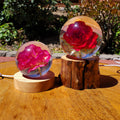 Rose Accent Light with Wooden Stand | Handmade Resin Craft with Real Rose Inside - Home Décor Night Light Beautiful Flower Gift Mood Lamp