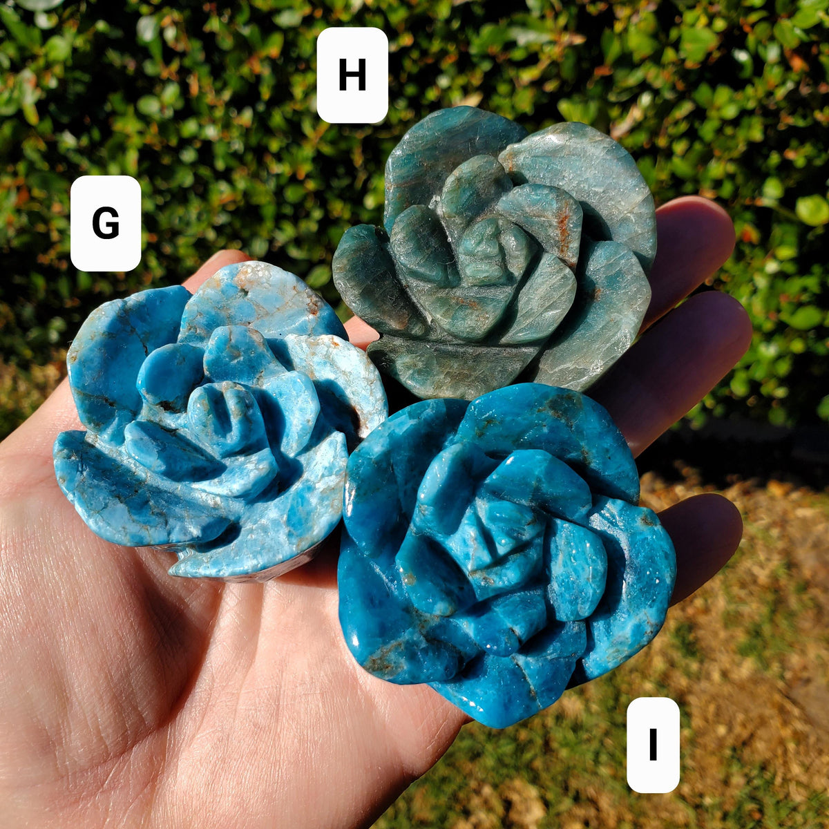 Blue Apatite Chunky Blooming Rosebud - Intuition, Mental Clarity, Communication, Manifestation - Crystal Rose Standing Flower Carving Decor