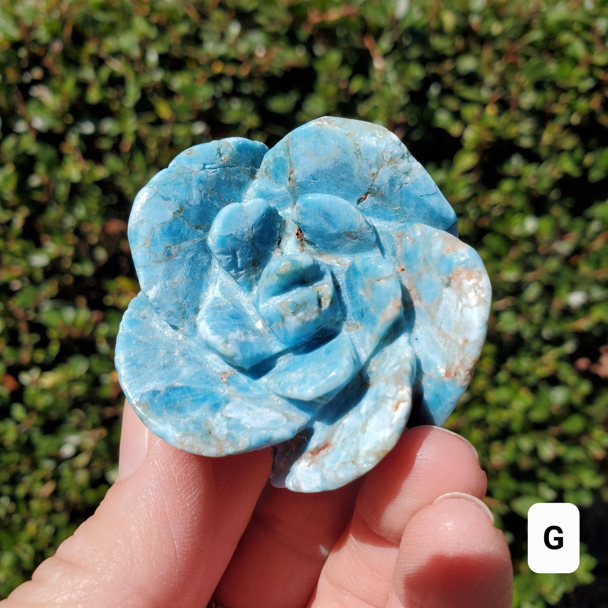 Blue Apatite Chunky Blooming Rosebud - Intuition, Mental Clarity, Communication, Manifestation - Crystal Rose Standing Flower Carving Decor