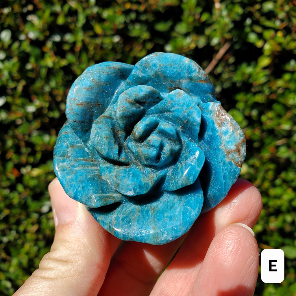 Blue Apatite Chunky Blooming Rosebud - Intuition, Mental Clarity, Communication, Manifestation - Crystal Rose Standing Flower Carving Decor