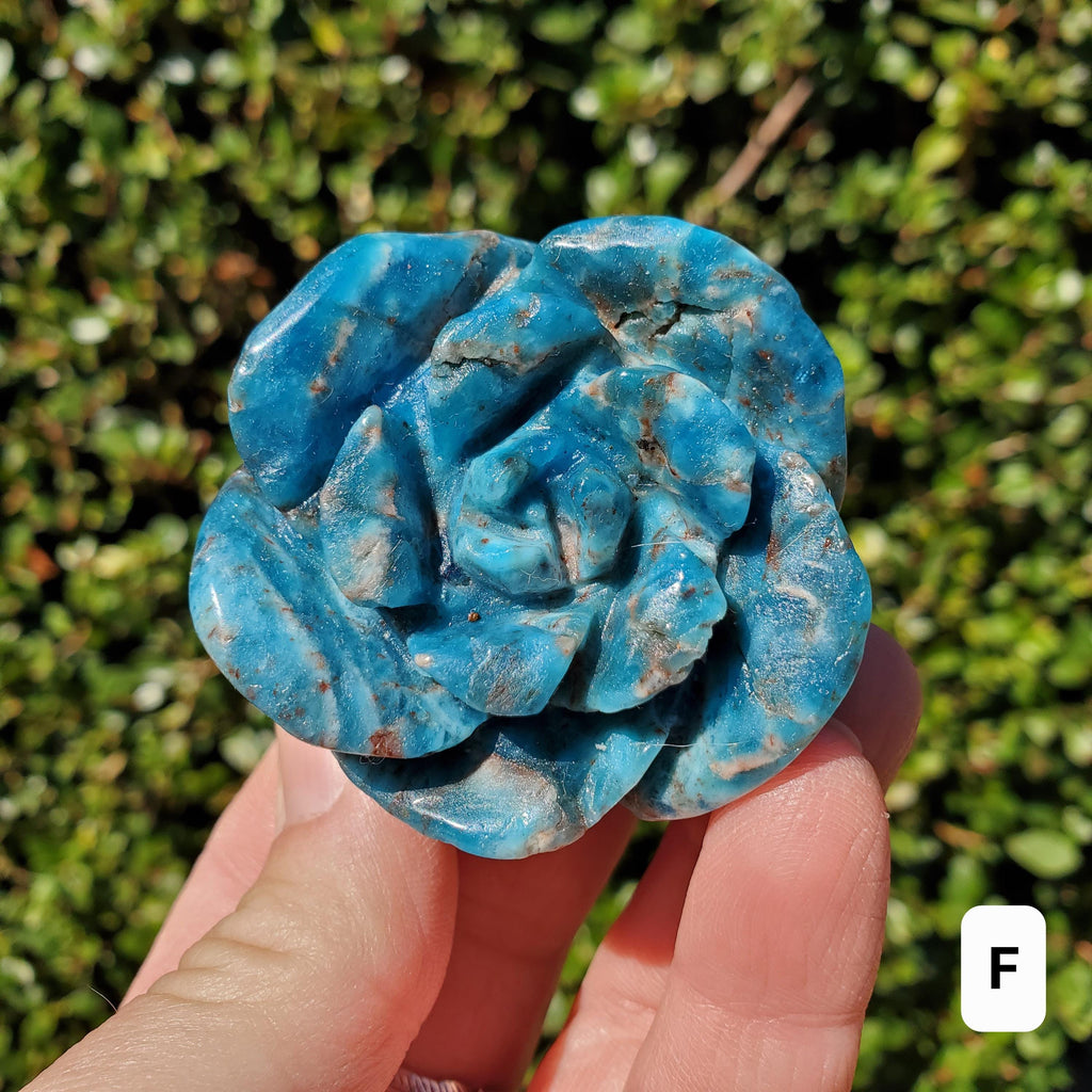 Blue Apatite Chunky Blooming Rosebud - Intuition, Mental Clarity, Communication, Manifestation - Crystal Rose Standing Flower Carving Decor