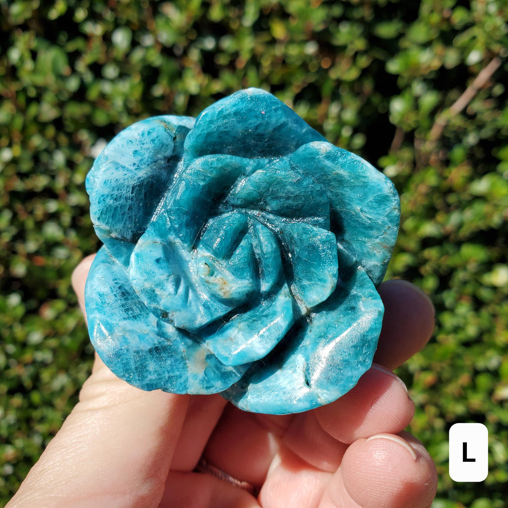 Blue Apatite Chunky Blooming Rosebud - Intuition, Mental Clarity, Communication, Manifestation - Crystal Rose Standing Flower Carving Decor