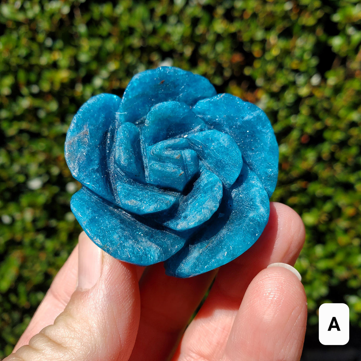 Blue Apatite Chunky Blooming Rosebud - Intuition, Mental Clarity, Communication, Manifestation - Crystal Rose Standing Flower Carving Decor