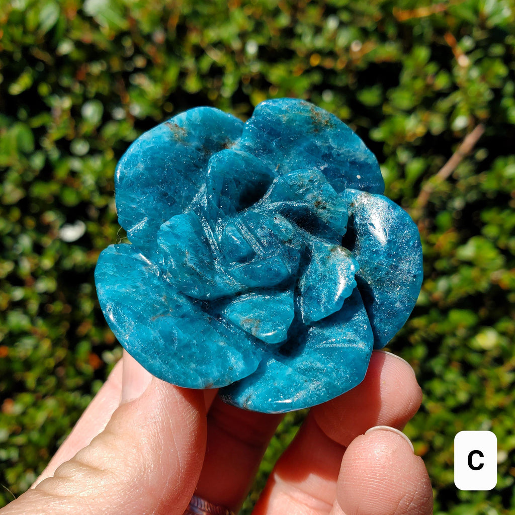 Blue Apatite Chunky Blooming Rosebud - Intuition, Mental Clarity, Communication, Manifestation - Crystal Rose Standing Flower Carving Decor