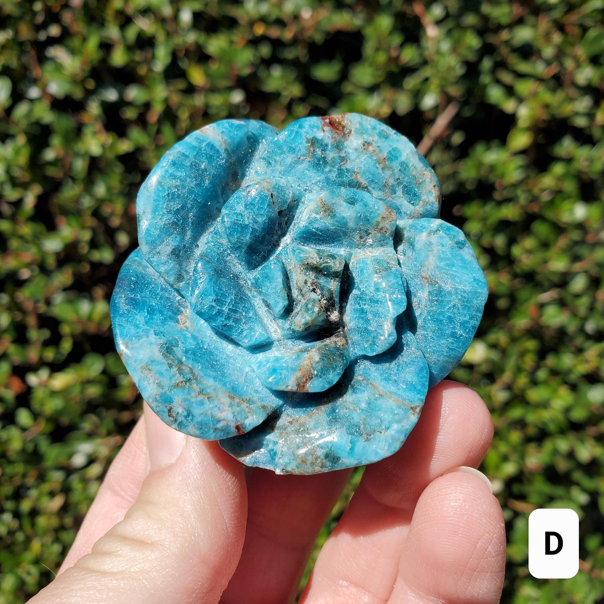 Blue Apatite Chunky Blooming Rosebud - Intuition, Mental Clarity, Communication, Manifestation - Crystal Rose Standing Flower Carving Decor