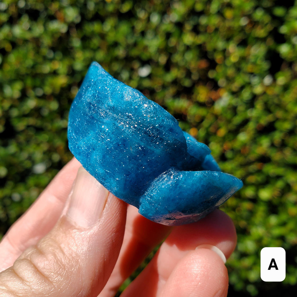 Blue Apatite Chunky Blooming Rosebud - Intuition, Mental Clarity, Communication, Manifestation - Crystal Rose Standing Flower Carving Decor