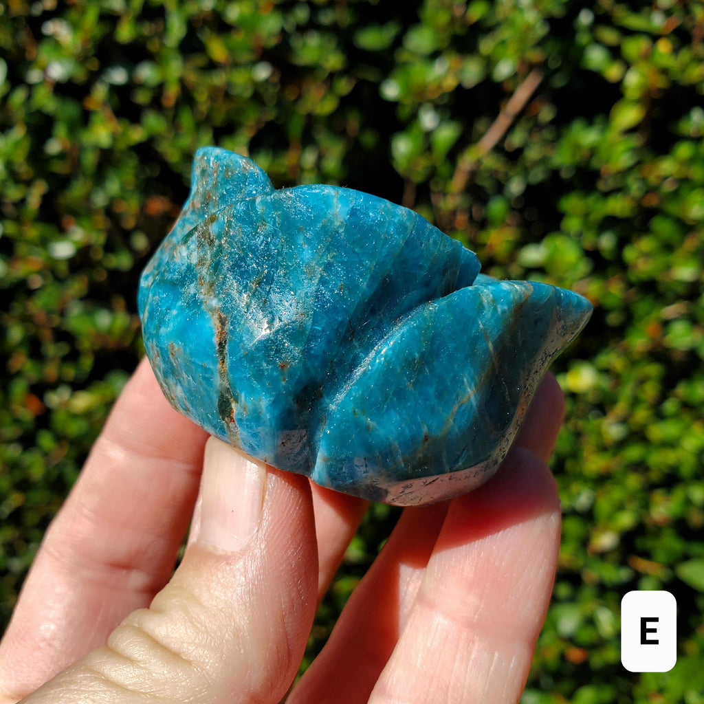 Blue Apatite Chunky Blooming Rosebud - Intuition, Mental Clarity, Communication, Manifestation - Crystal Rose Standing Flower Carving Decor