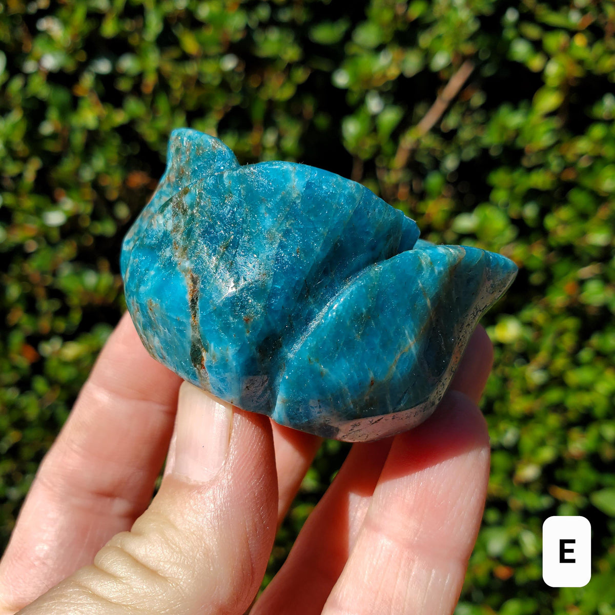 Blue Apatite Chunky Blooming Rosebud - Intuition, Mental Clarity, Communication, Manifestation - Crystal Rose Standing Flower Carving Decor