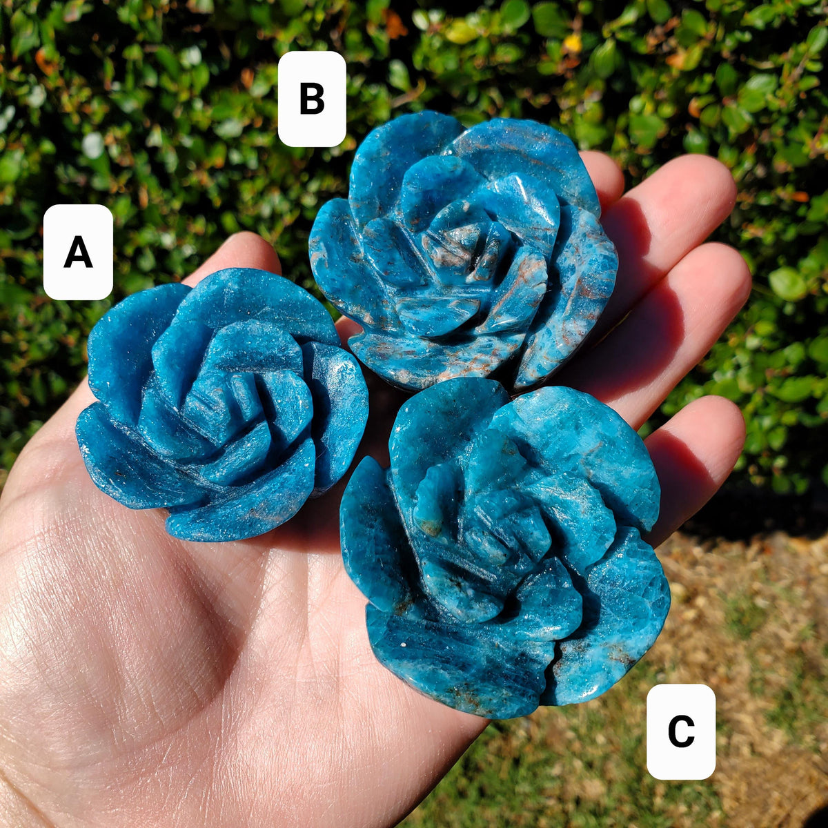 Blue Apatite Chunky Blooming Rosebud - Intuition, Mental Clarity, Communication, Manifestation - Crystal Rose Standing Flower Carving Decor