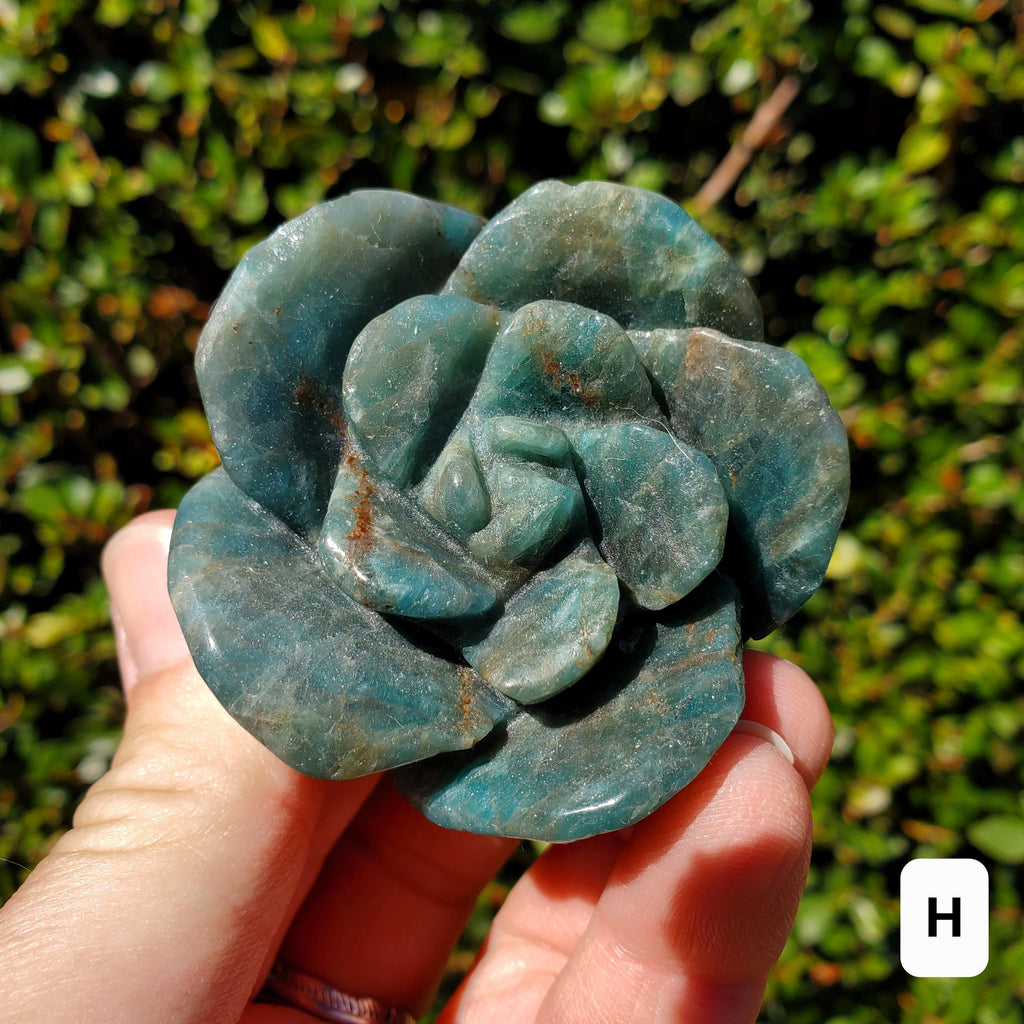 Blue Apatite Chunky Blooming Rosebud - Intuition, Mental Clarity, Communication, Manifestation - Crystal Rose Standing Flower Carving Decor