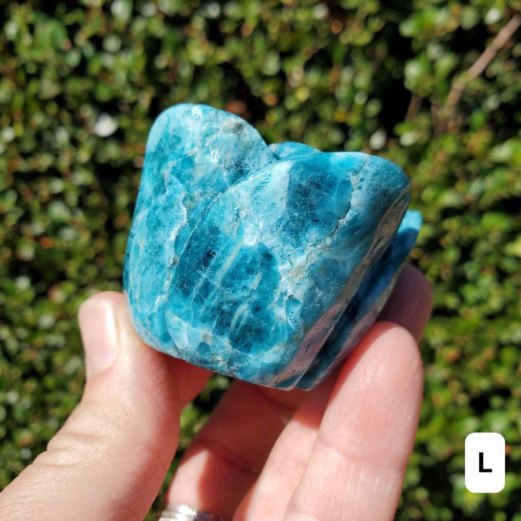 Blue Apatite Chunky Blooming Rosebud - Intuition, Mental Clarity, Communication, Manifestation - Crystal Rose Standing Flower Carving Decor