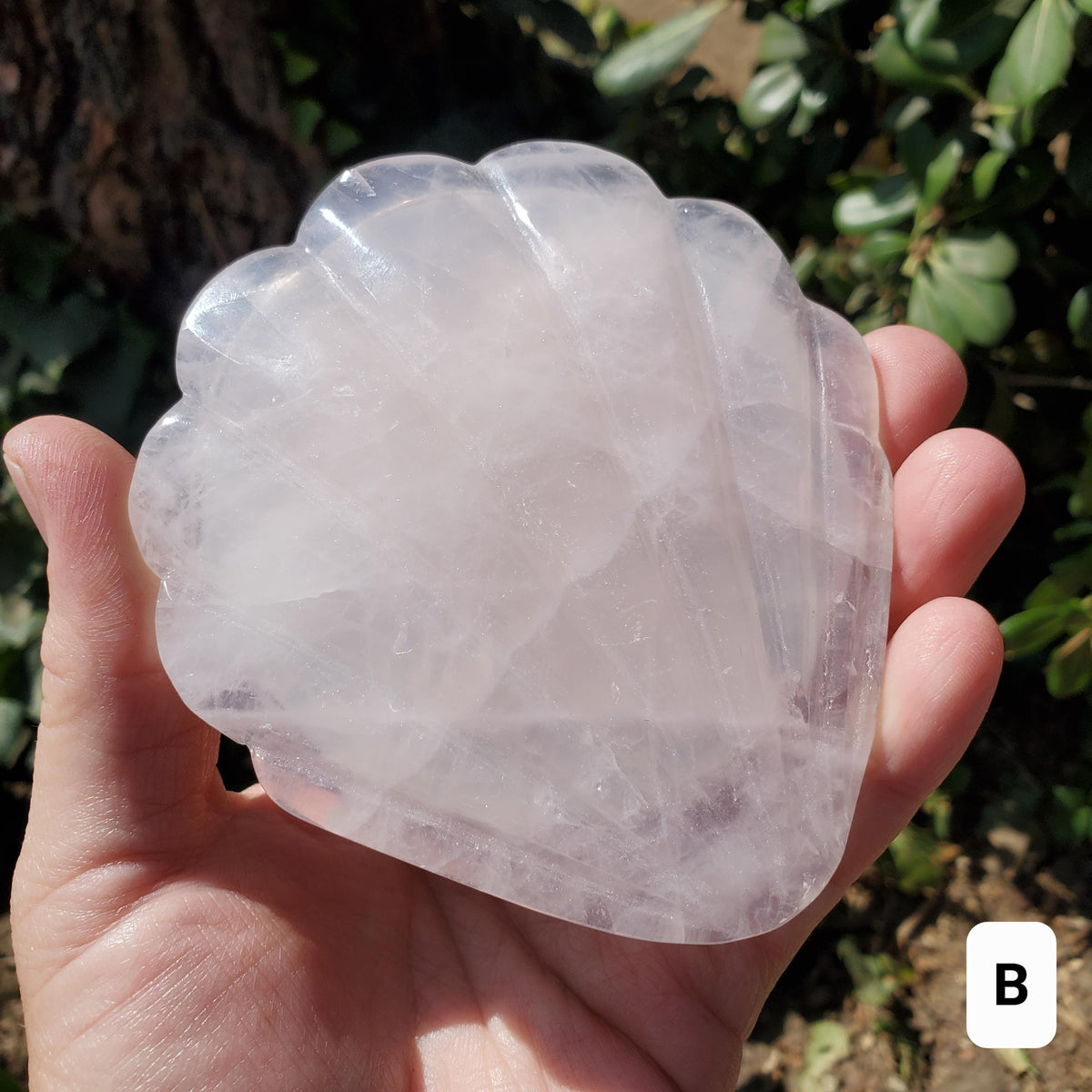 Rose Quartz Seashell Mirror - Unconditional Love, Compassion, Kindness, Self Love - Pink Shell Crystal Healing Vanity Mirror, Bathroom Decor