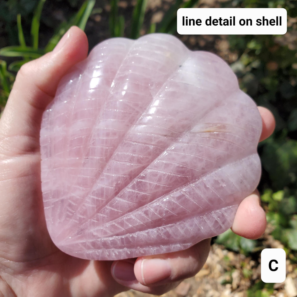 Rose Quartz Seashell Mirror - Unconditional Love, Compassion, Kindness, Self Love - Pink Shell Crystal Healing Vanity Mirror, Bathroom Decor