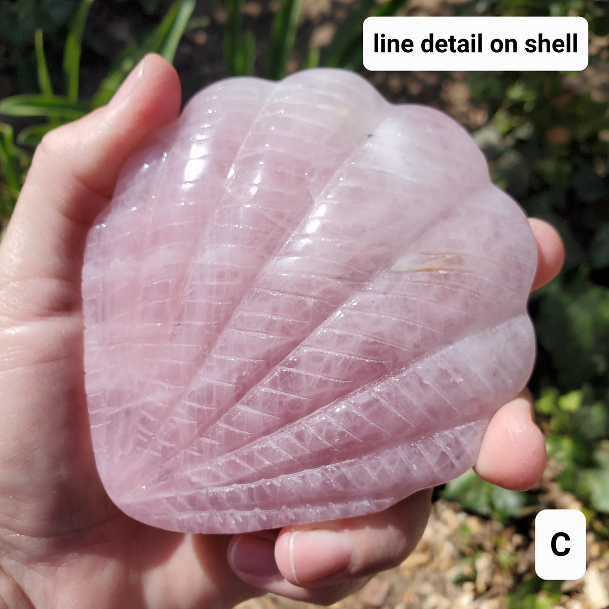 Rose Quartz Seashell Mirror - Unconditional Love, Compassion, Kindness, Self Love - Pink Shell Crystal Healing Vanity Mirror, Bathroom Decor