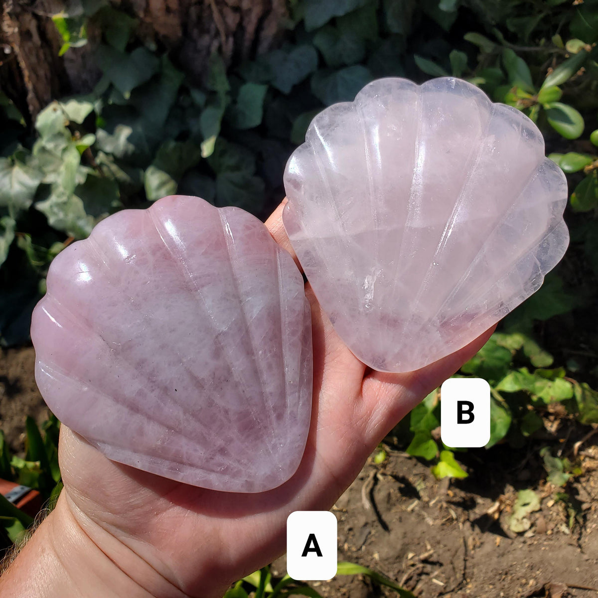 Rose Quartz Seashell Mirror - Unconditional Love, Compassion, Kindness, Self Love - Pink Shell Crystal Healing Vanity Mirror, Bathroom Decor