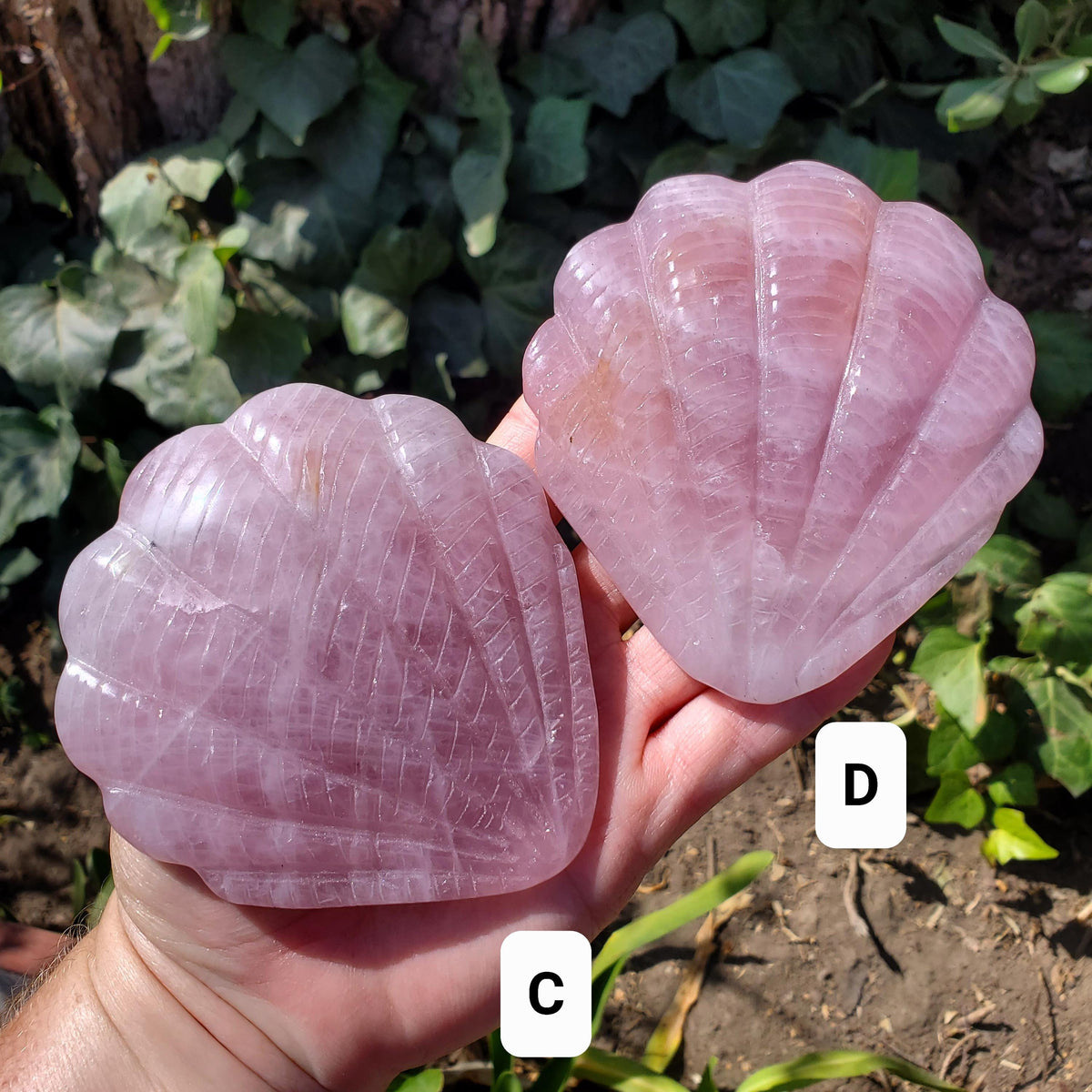 Rose Quartz Seashell Mirror - Unconditional Love, Compassion, Kindness, Self Love - Pink Shell Crystal Healing Vanity Mirror, Bathroom Decor