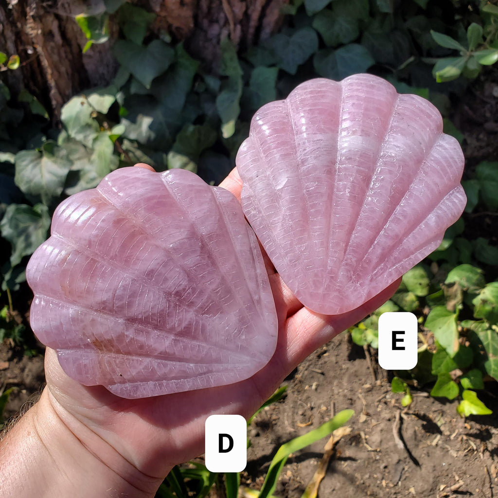 Rose Quartz Seashell Mirror - Unconditional Love, Compassion, Kindness, Self Love - Pink Shell Crystal Healing Vanity Mirror, Bathroom Decor
