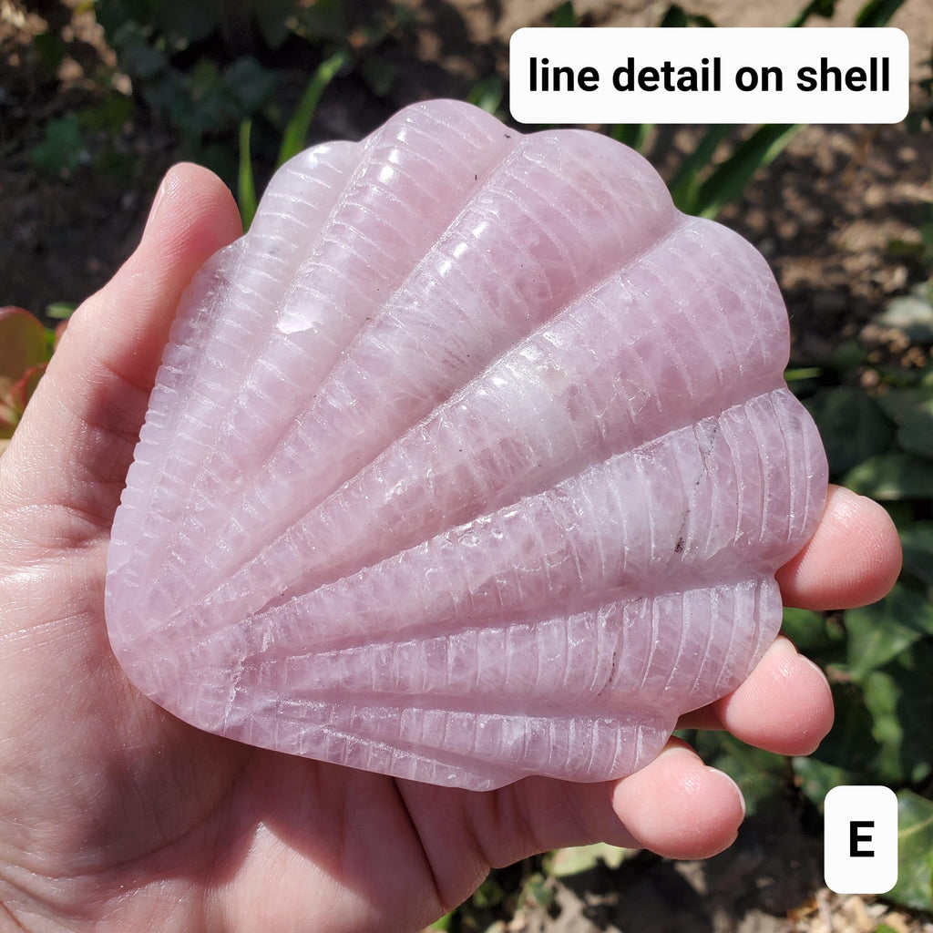 Rose Quartz Seashell Mirror - Unconditional Love, Compassion, Kindness, Self Love - Pink Shell Crystal Healing Vanity Mirror, Bathroom Decor
