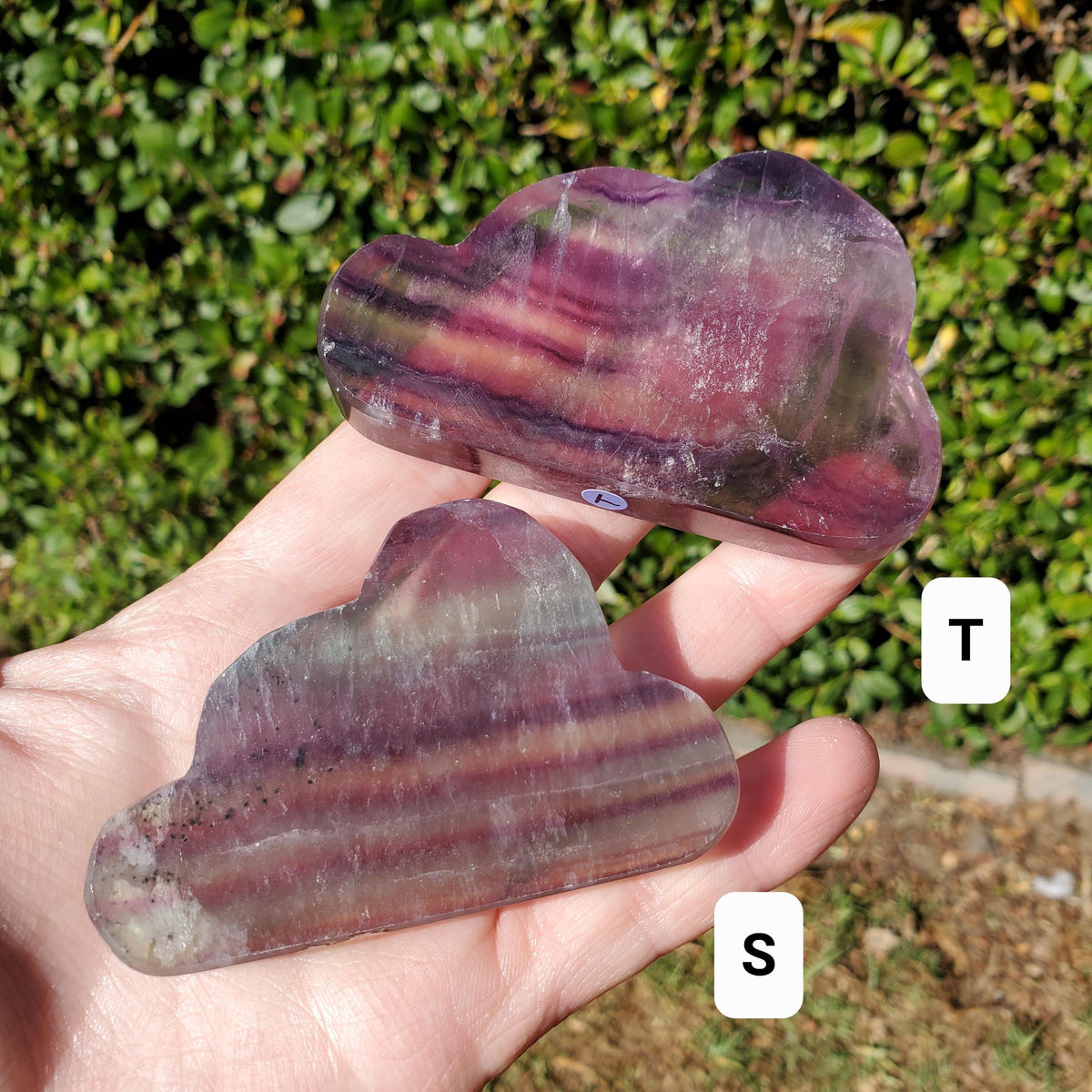 Rainbow Fluorite Standing Cloud (Listing 2 of 2) - Mental Clarity, Energetic Protection, Positivity - Carved Crystal Cloud Healing Gemstone