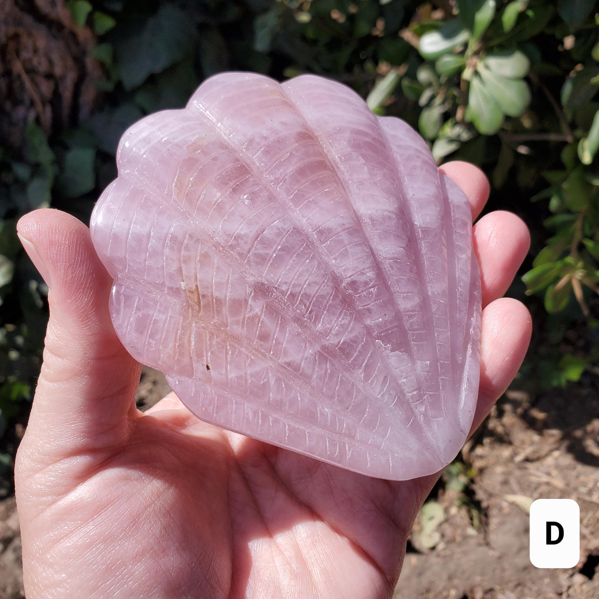 Rose Quartz Seashell Mirror - Unconditional Love, Compassion, Kindness, Self Love - Pink Shell Crystal Healing Vanity Mirror, Bathroom Decor