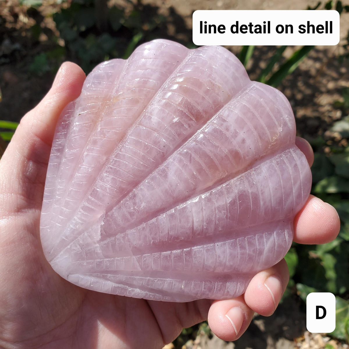 Rose Quartz Seashell Mirror - Unconditional Love, Compassion, Kindness, Self Love - Pink Shell Crystal Healing Vanity Mirror, Bathroom Decor