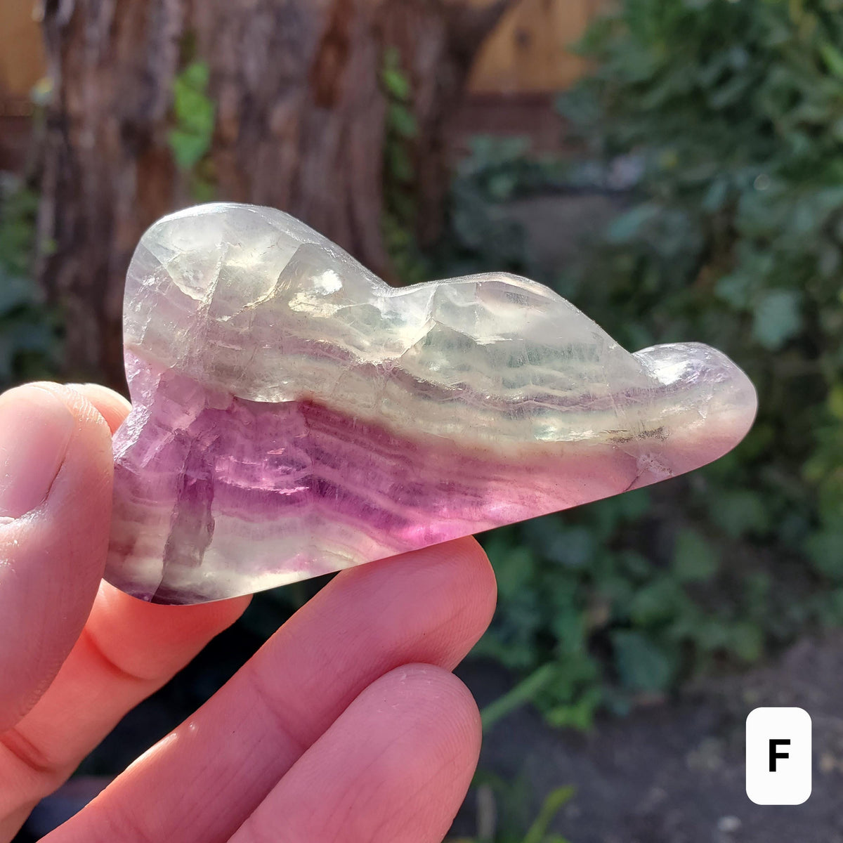 Rainbow Fluorite Standing Cloud (Listing 1 of 2) - Mental Clarity, Energetic Protection, Positivity - Carved Crystal Cloud Healing Gemstone