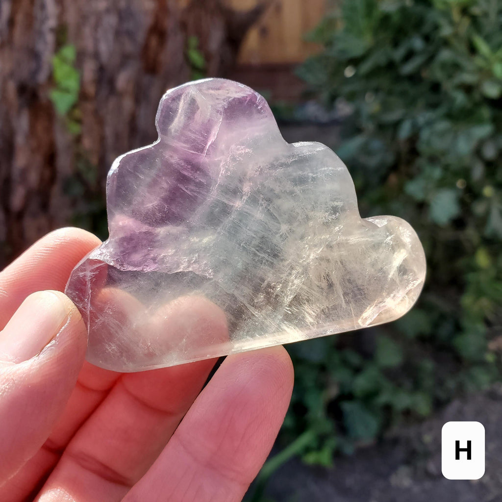 Rainbow Fluorite Standing Cloud (Listing 1 of 2) - Mental Clarity, Energetic Protection, Positivity - Carved Crystal Cloud Healing Gemstone