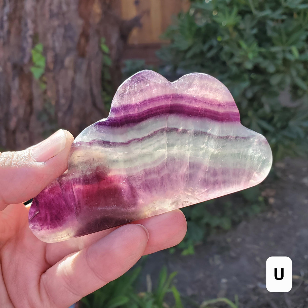 Rainbow Fluorite Standing Cloud (Listing 2 of 2) - Mental Clarity, Energetic Protection, Positivity - Carved Crystal Cloud Healing Gemstone
