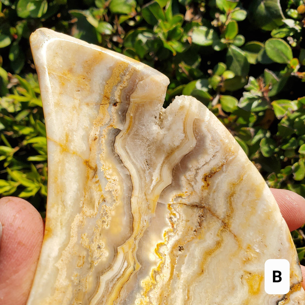 Yellow Lace Agate Crescent Moon Tray - Strength, Courage, Emotional Stability - Crystal Moon Trinket Dish Healing Gemstone