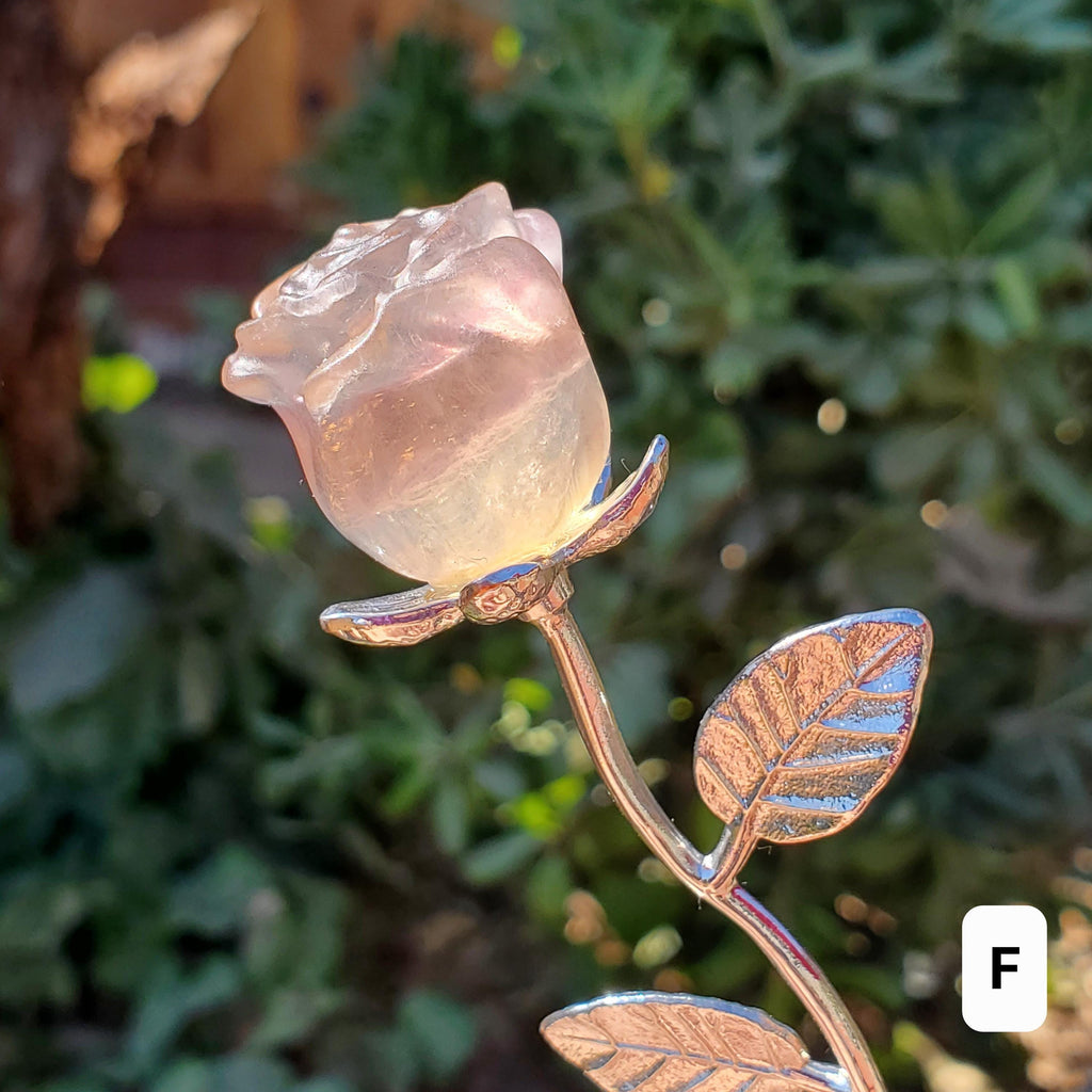 Small Rainbow Fluorite Crystal Rose on Stem - Mental Clarity, Positivity, Energetic Protection - Stone Rose Healing Crystals Gemstones