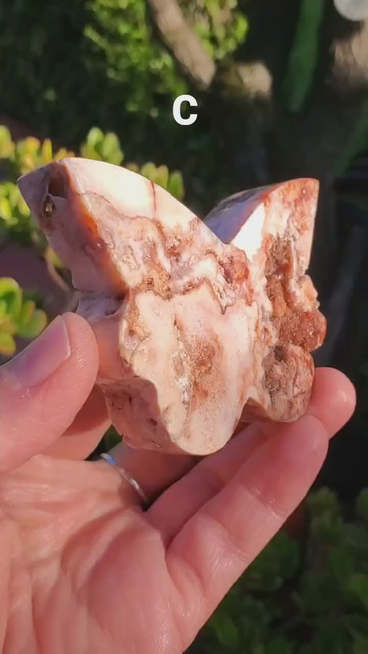 Pink Lace Agate Butterfly with Druzy - Balance of the Physical, Mental, Emotional - Pink Agate Crystal Butterfly Carving