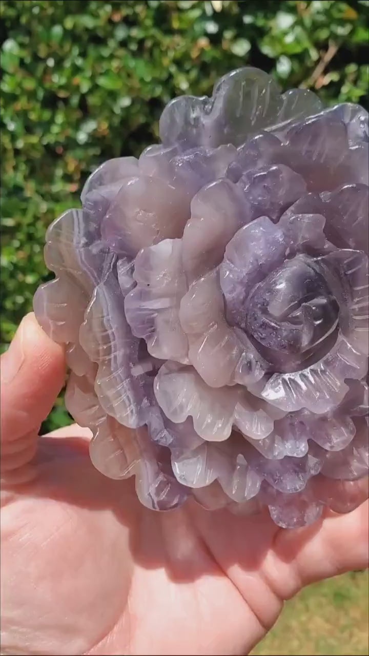 Big Purple Fluorite Flower with Banding - The Dream Crystal, Mental Concentration, Clears Negativity - Crystal Rose Statement Gemstone