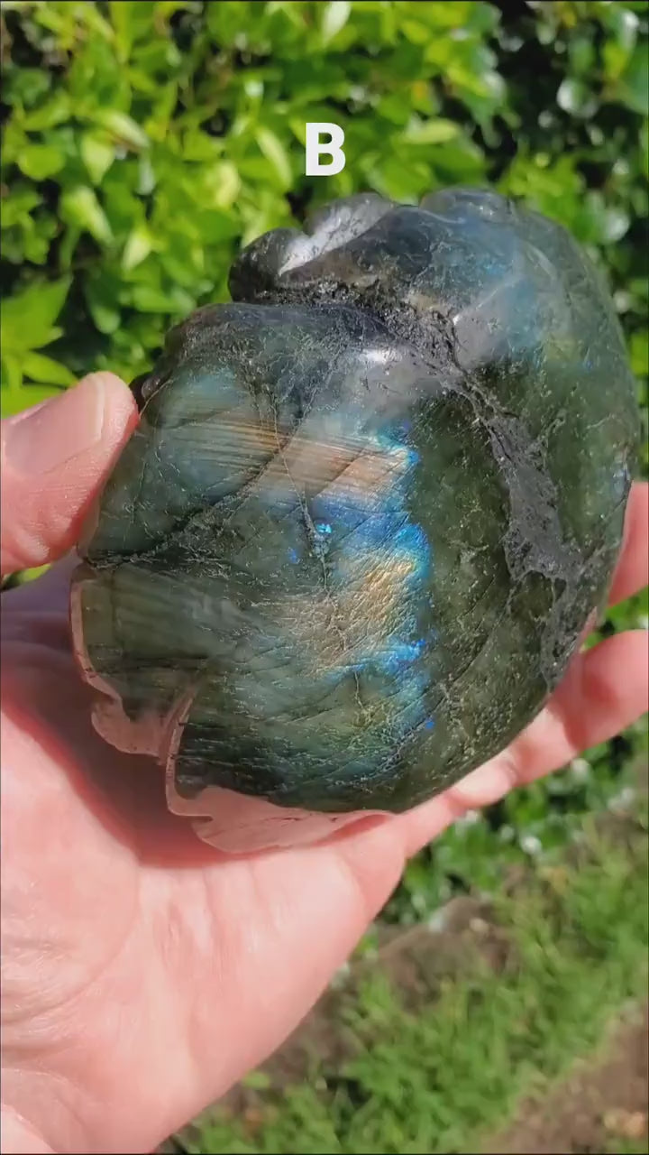 Big Flashy Labradorite Flower - Awareness, Connection, Intuition - Crystal Rose Lab Rose Carving Healing Crystal Gemstone Statement Display