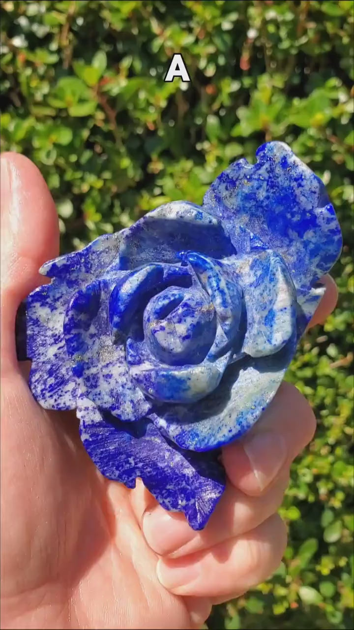Big Lapis Lazuli Rose - Speak Your Truth, Communication, Personal Power - Blue Crystal Flower Stone Healing Gemstone Statement