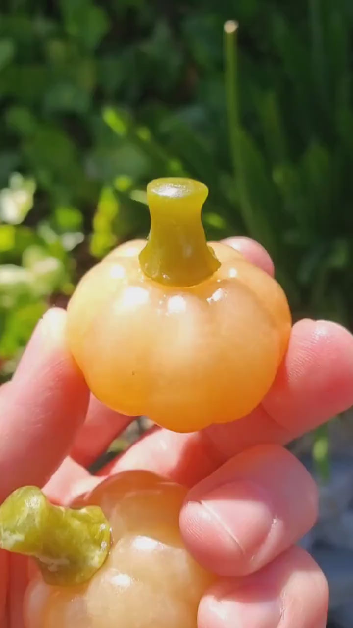 Cute Orange Calcite Pumpkin with Serpentine Jade Stem - Confidence, Self-Esteem, Creative & Sexual Energy - Calcite Crystal Pumpkin Carving