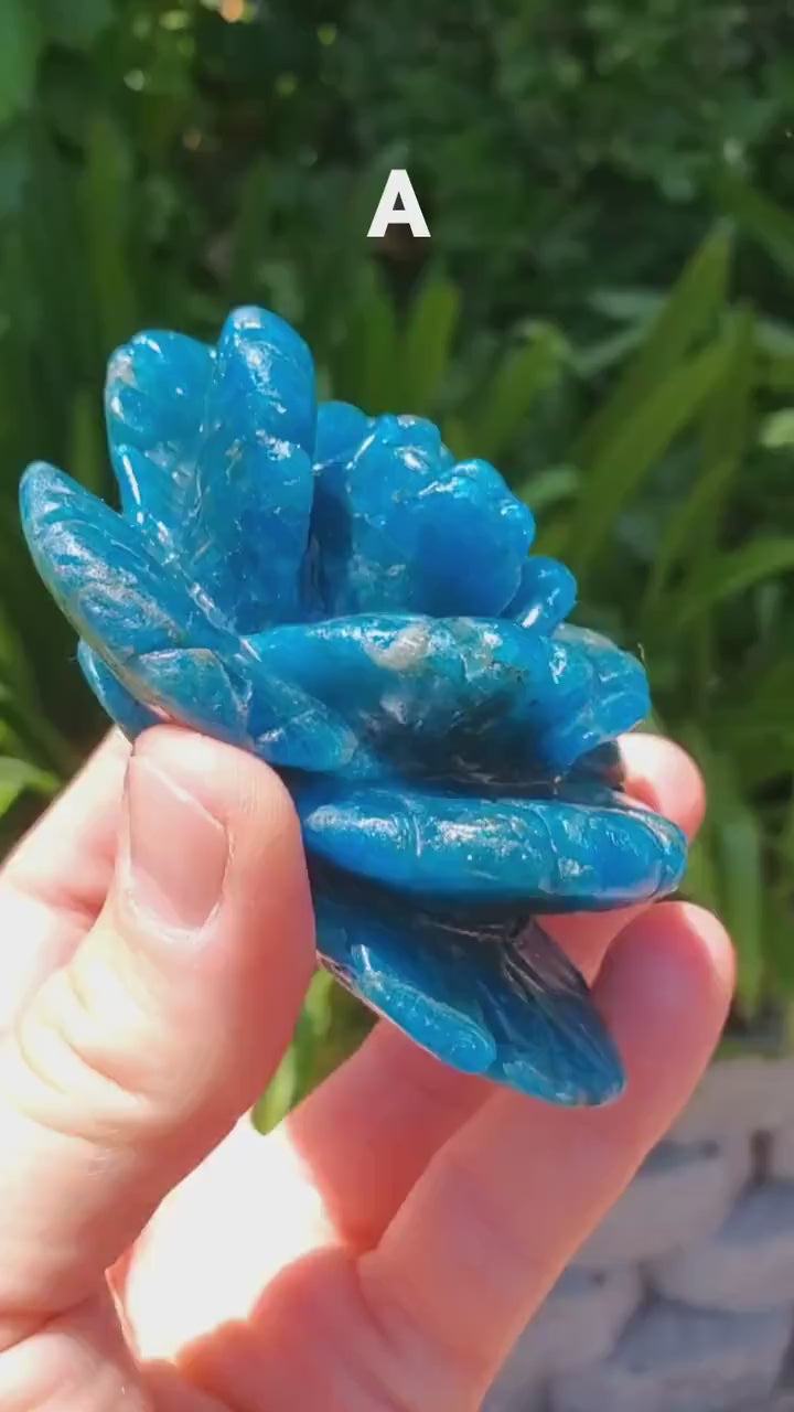 Blue Apatite Flower - Intuition, Mental Clarity, Communication, Manifestation - Crystal Rose Carving Healing Gemstone
