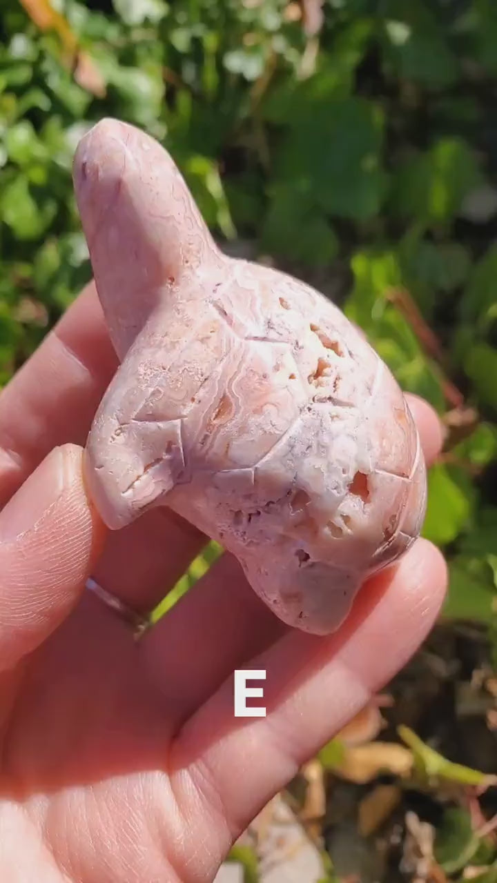 Druzy Pink Lace Agate Turtle - Balance Physical, Mental, Emotional - Pink Agate Crystal Turtle Carving Healing Gemstone