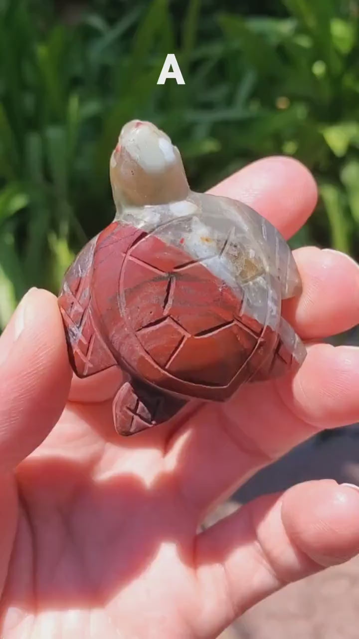 Cute African Bloodstone Turtle - Calming, Grounding, Persistence, Courage - Black and Red Crystal Turtle Carving Healing Gemstone