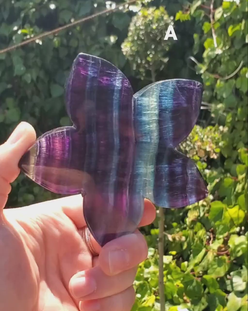 Rainbow Fluorite Flower on Stand - Mental Clarity, Stability, Concentration, Protection - Fluorite Healing Crystals Gemstones