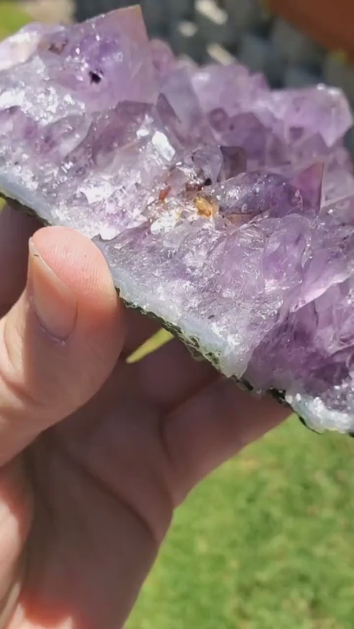 5" Cute Amethyst Cluster Geode with Golden Rutile - Calming, Cleanses Body & Aura, Stress Relief, Positivity - Purple Crystal Gemstone