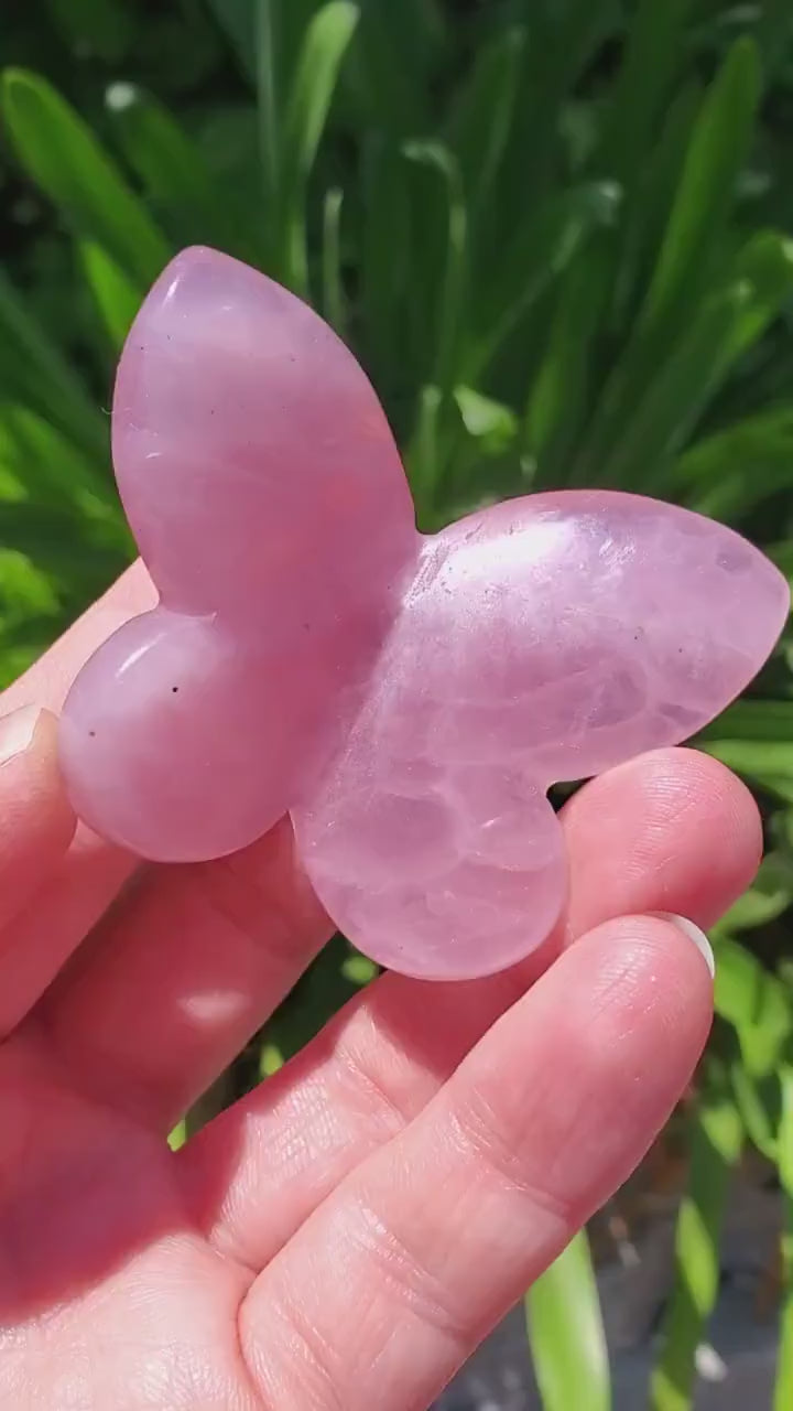 3D Rose Quartz Butterfly - Unconditional Love, Passion, Forgiveness - Pink Crystal Butterfly Stone Healing Crystals Gemstones