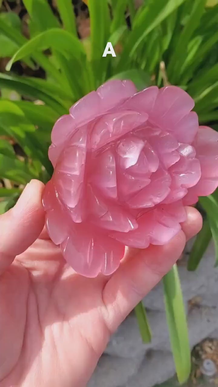 Pink Cat's Eye Rose - Friendship, Peace, Magnification, Luck - Pink Stone Rose Carving Healing Crystal Gemstones