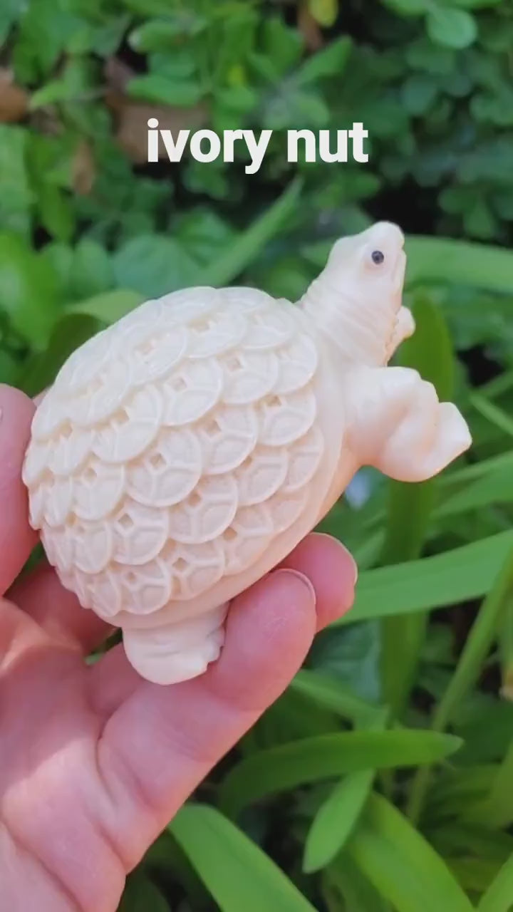 Ivory Nut Turtle Carving with Feng Shui Coin Design - Prosperity, Happiness, Love, Abundance - 3" Carved Tortoise Figurine Statue Home Decor