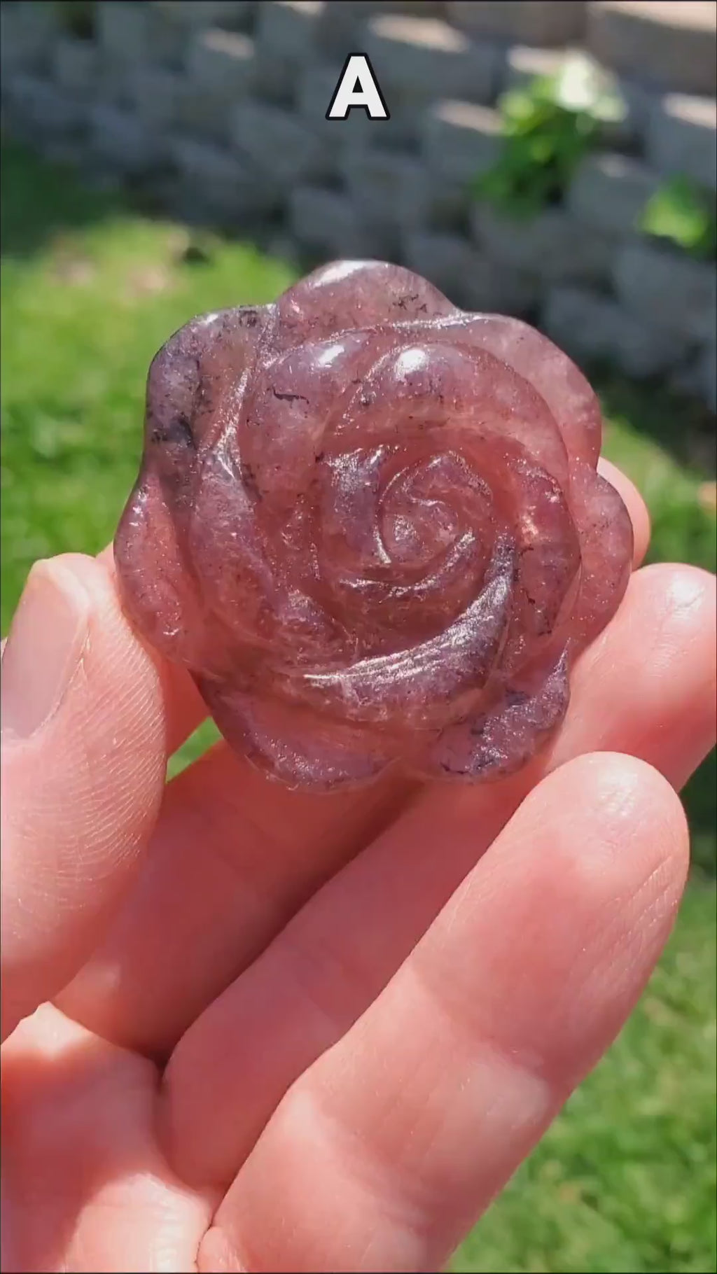 Small Strawberry Quartz Rose with Tourmaline Inclusions - Universal Love, Gratitude, Generosity, Compassion - Tanzberry Flower Carving