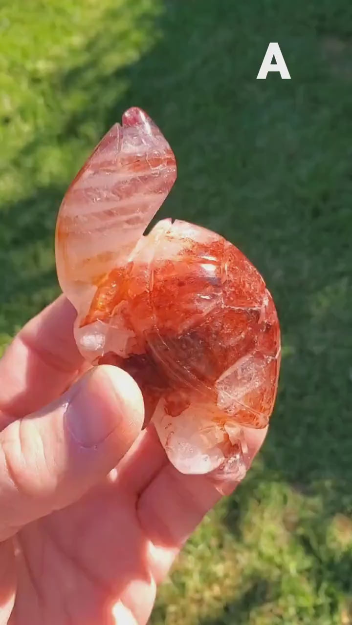 Flashy Fire Quartz Turtle - Energizing, Motivation, Vitality, Reflection, Renewal - Crystal Turtle Carving Healing Gemstone Decor